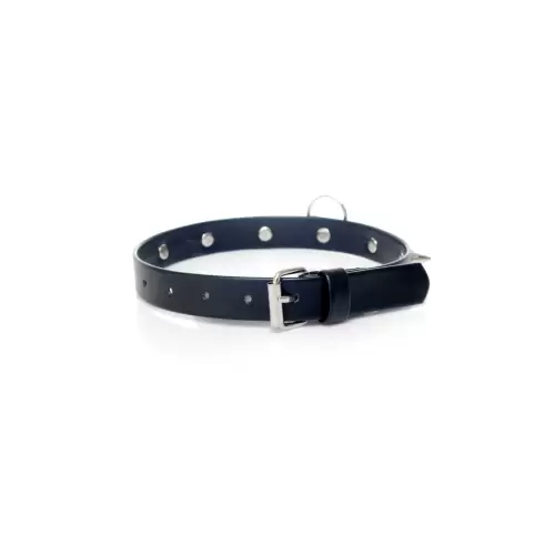 Fetish Boss Series Collar with studs 2 cm